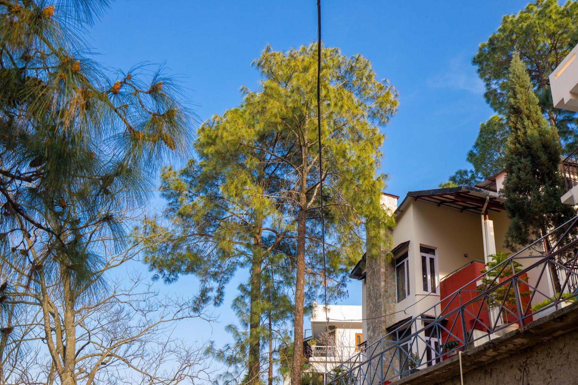 Alaya Stays Mehar Villa - 3 Bhk With Garden & Scenic Views Kasauli Eksteriør billede